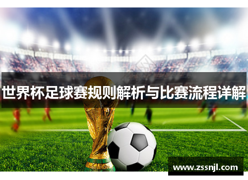 世界杯足球赛规则解析与比赛流程详解