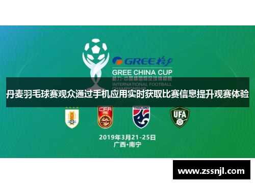 丹麦羽毛球赛观众通过手机应用实时获取比赛信息提升观赛体验