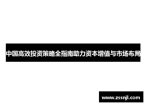 中国高效投资策略全指南助力资本增值与市场布局