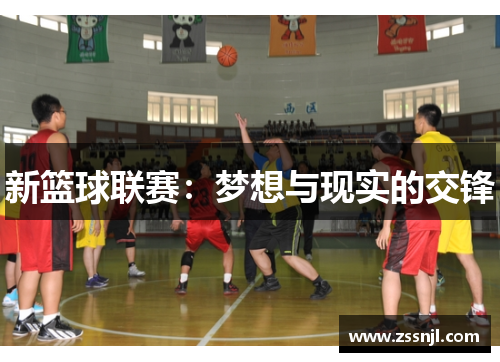 新篮球联赛：梦想与现实的交锋