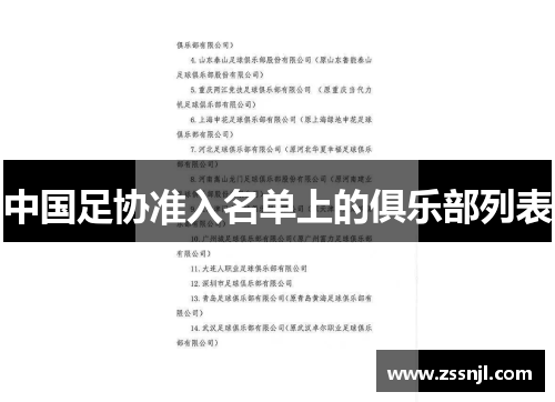 中国足协准入名单上的俱乐部列表