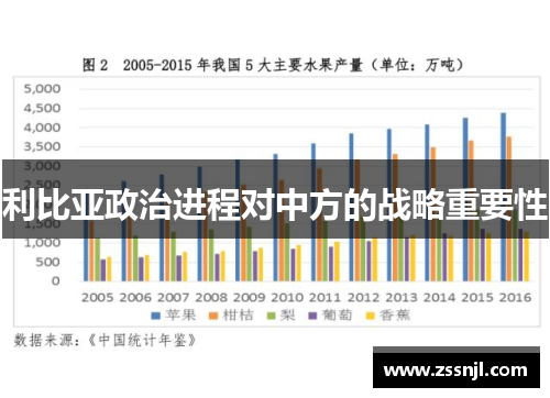 利比亚政治进程对中方的战略重要性
